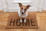 Puppy on Front Door Mat Home