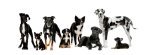 multiple sized dogs lg