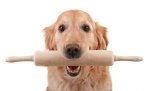 Golden With Rolling Pin