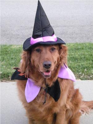 Bailey The Witch